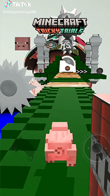 Minecraft Pig Run