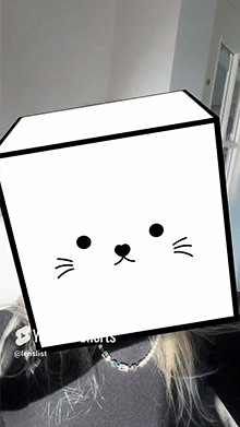 Boxy Cat