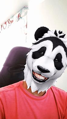 Panda Head