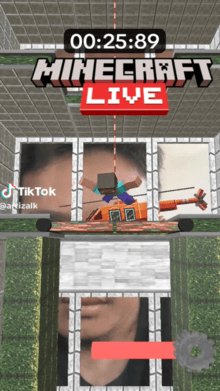 Minecraft Live Action