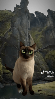 Become Toothless
