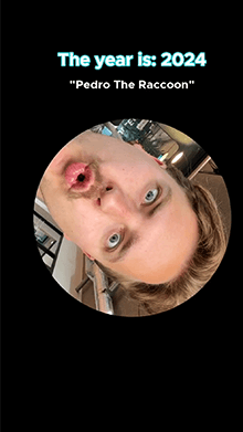 Meme Timemachine