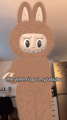 LABUBU BODY COSTUME
