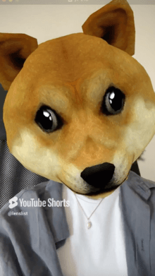 Dog face 3D