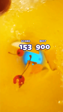 Capri Sun '25