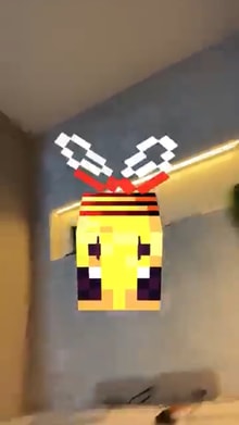 Minecraft bee