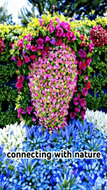 AI Bloom