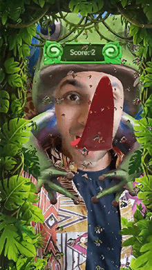 Fly Frenzy