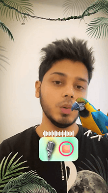 Talking Parrot