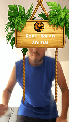 Animal Mirror