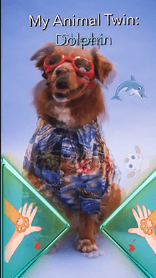 Animal Twin 2