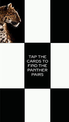 A Panther's Trail