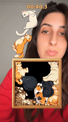 Kitty Puzzle