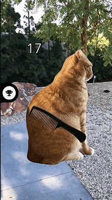 brush orange cat