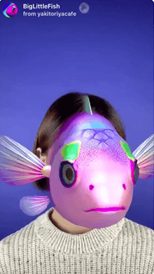 BigLittleFish