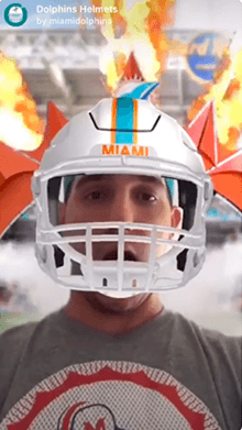 Dolphins Helmets