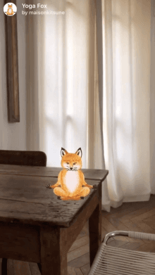 yoga fox