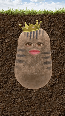 tiger king potato