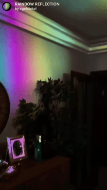 rainbow reflection
