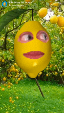life gives u lemons