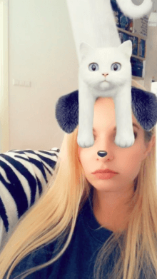 Cat on Face
