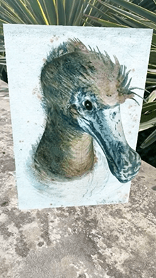 dodo sketch