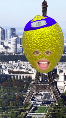 lemon ninja