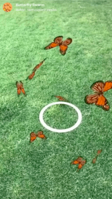 Butterfly Swarm