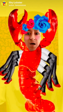 Shy Lobster