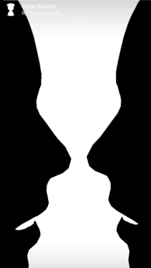 vase illusion
