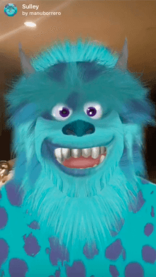 sulley