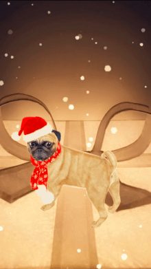 Holiday Pugdog