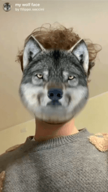 my wolf face