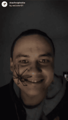 Arachnophobia