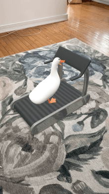 Treadmill Duck