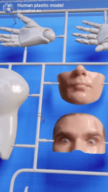 Human plastic model