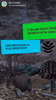 Eco Corals