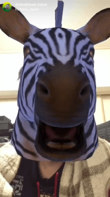 AnimalHead-Zebra
