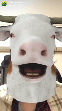 AnimalHead-Cow