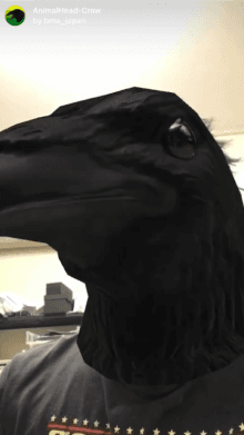 AnimalHead-Crow