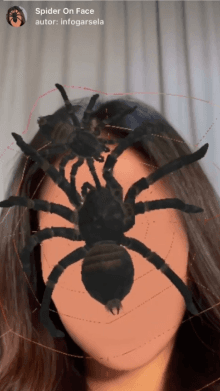 Spider On Face