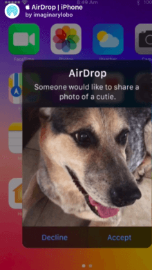  AirDrop | iPhone