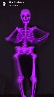 Fluo Skeleton