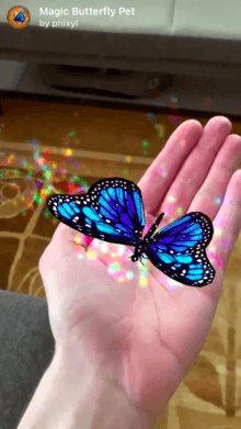 Magic Butterfly Pet