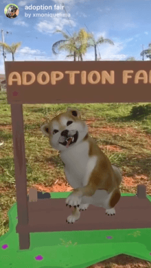 adoption fair