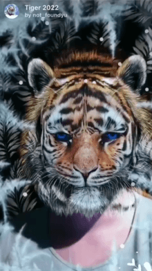 Tiger 2022