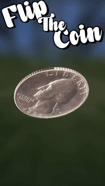 Coin Toss Flip 3D