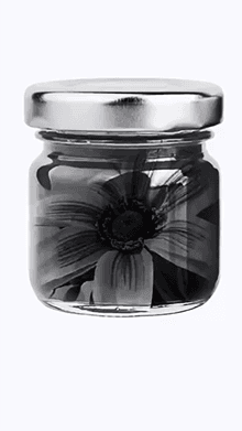 ✦ world in a jar ✦