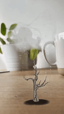 Plant A Tiny Tree