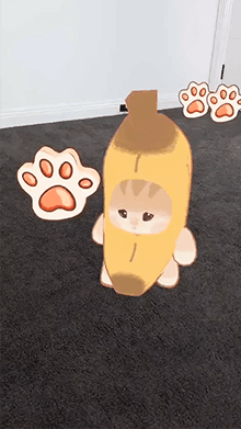 Cute Cat Game